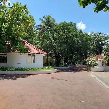 Angels Resort Aradi Socorro Εξωτερικό φωτογραφία